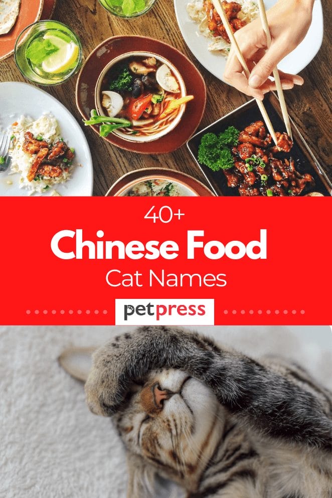 chinese-food-cat-names