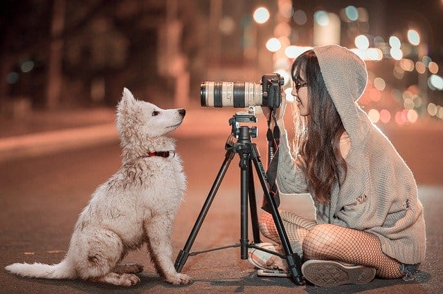 pet-on-camera