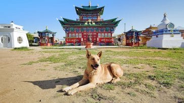 buddhist dog names 1
