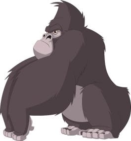 Best Gorilla Names - 200+ Good Name Ideas For A Gorilla