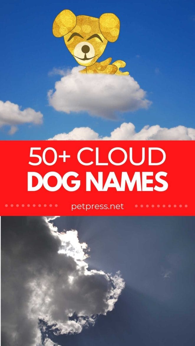 cloud dog names for naming a pup