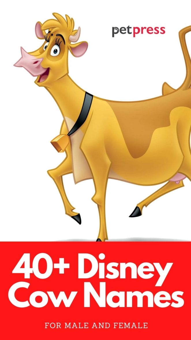 cow names from disney movies and cartoons