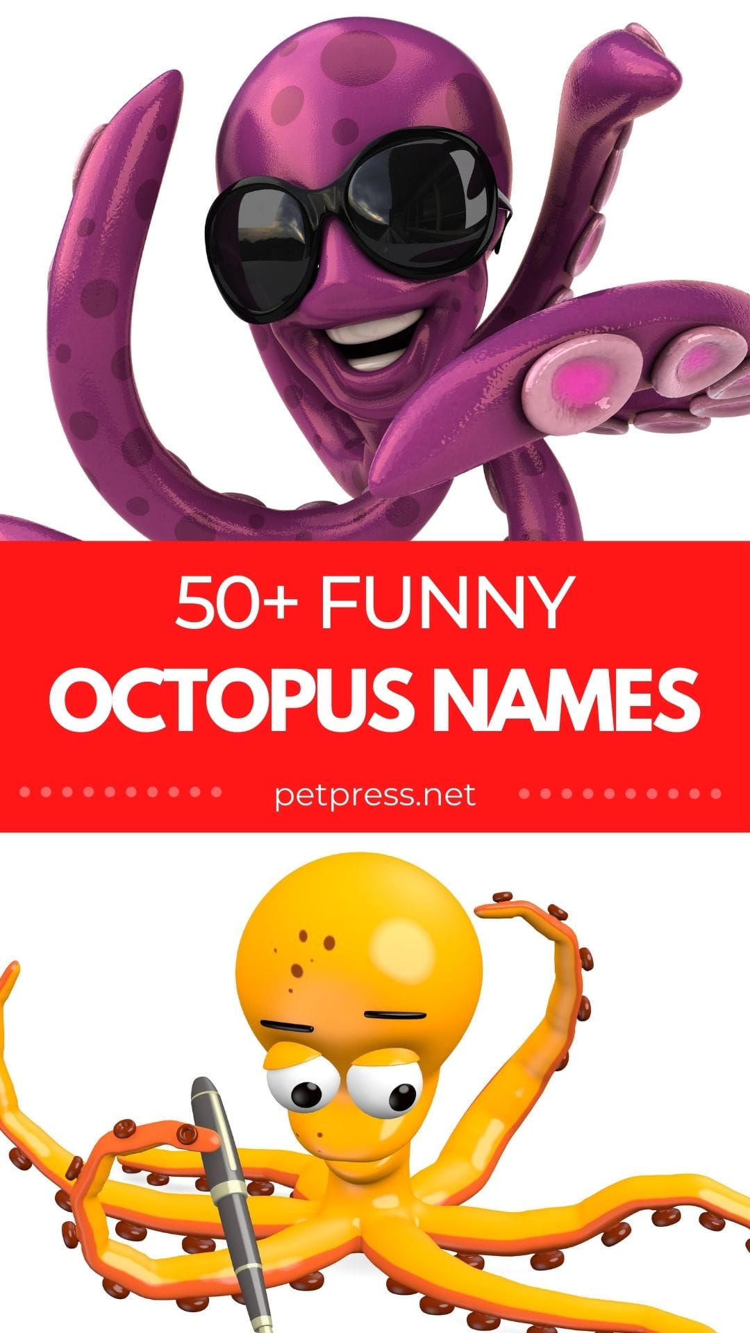 Funny Octopus Names 50+ Hilarious & Funny Names For An Octopus