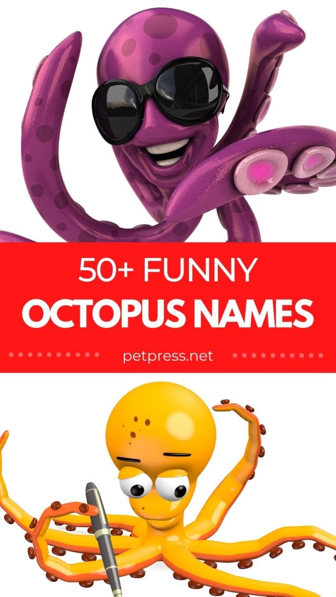 funny octopus names for naming a pet octopus
