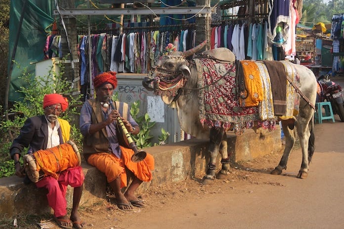 indian cow names