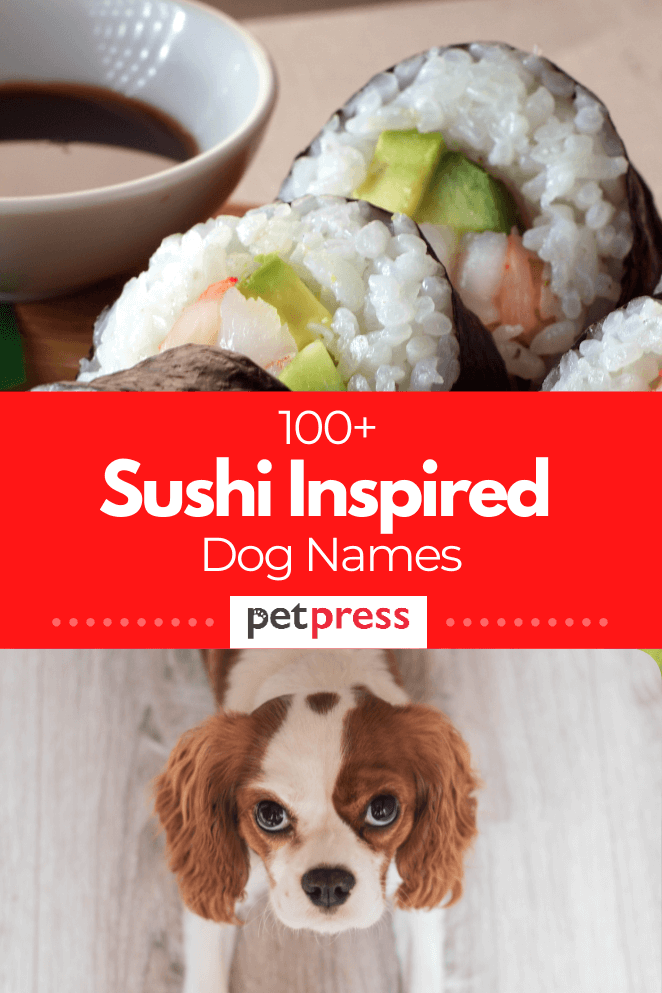 sushi-dog-names
