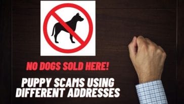 Puppy Scams Using Different Addresses