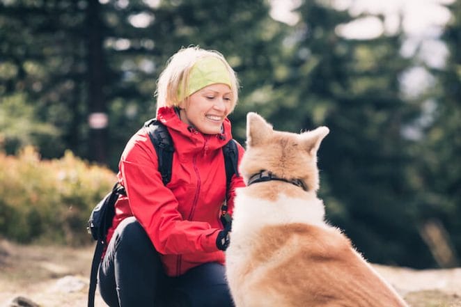 What Else To Know About Traveling With A Dog?