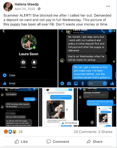 facebook-scammer