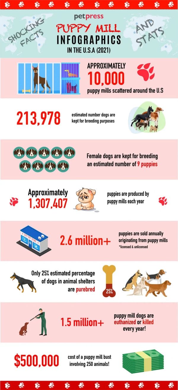 most shocking facts about puppy mills (as of January 2021)