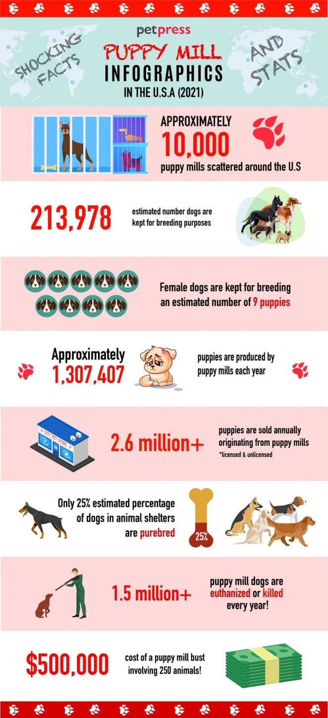 puppy mill stats - infographics