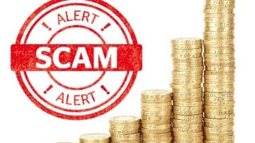 puppy-scam-increased