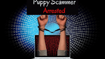 puppy-scammer-arrested
