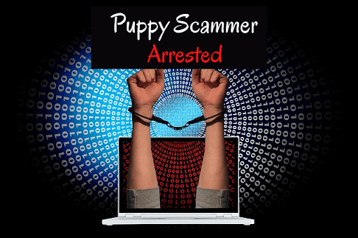 puppy-scammer-arrested