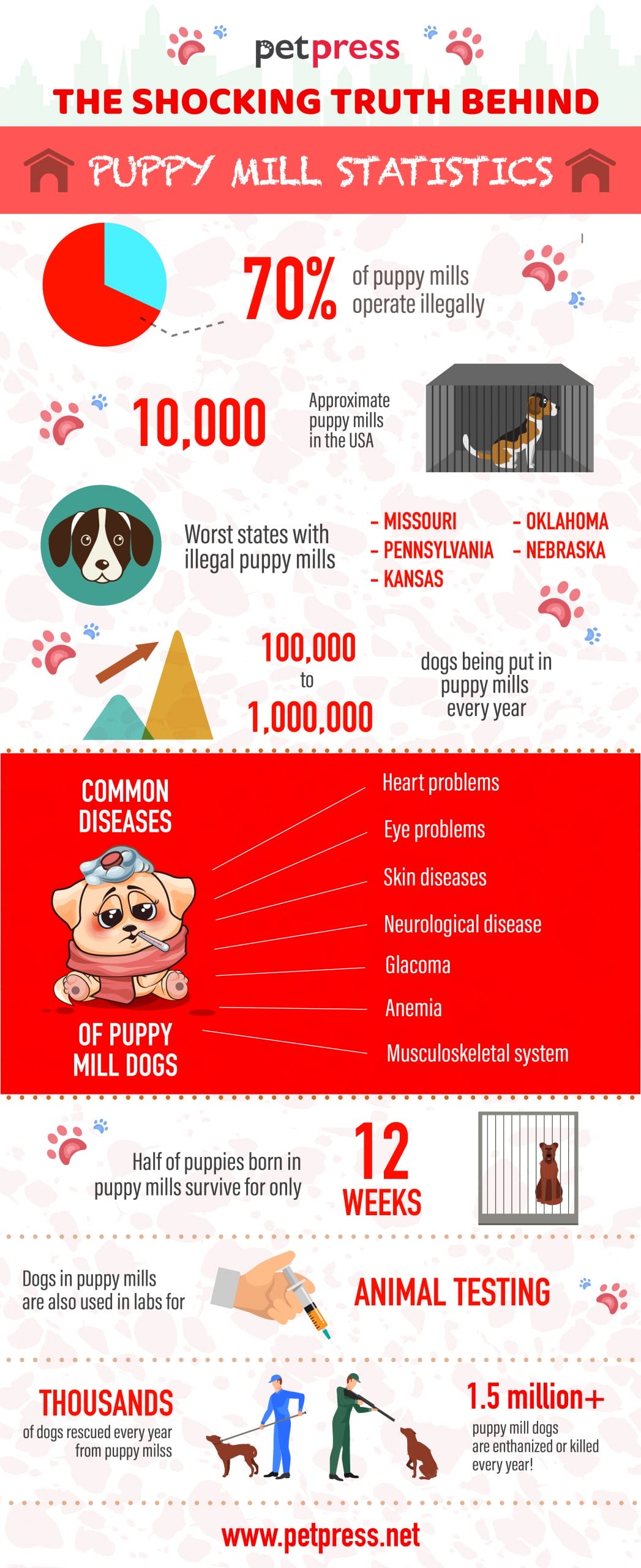 The Shocking Truth Behind these Puppy Mill Statistics PetPress