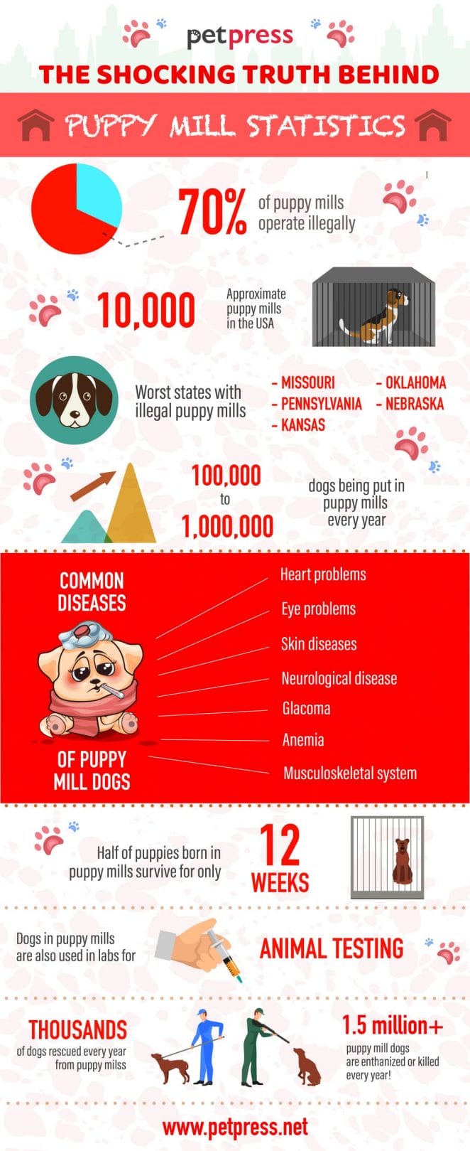 shocking truth about puppy mills - infographics