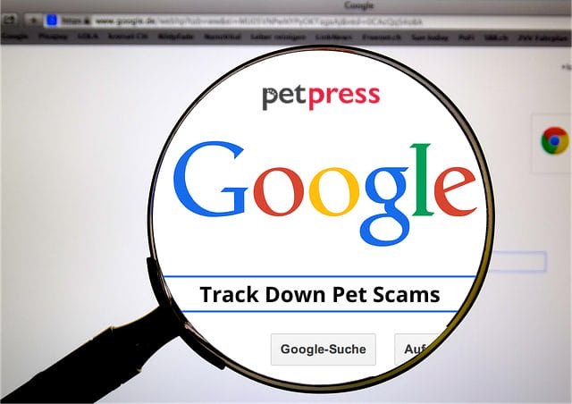 track-down-pet-scam