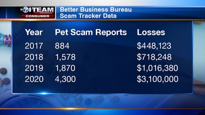 puppy-scams-data
