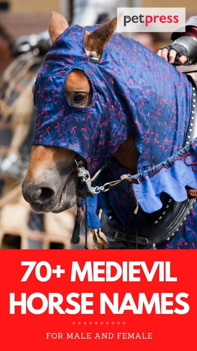 70+ medievil horse names