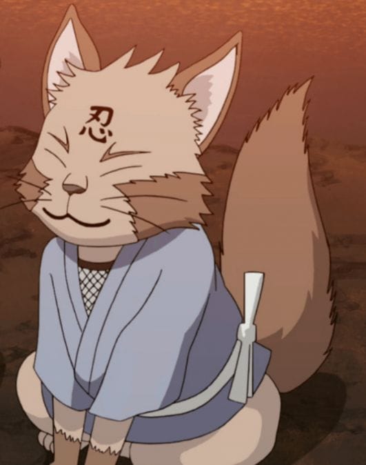 60+ Cat Names from The Highly Popular Anime Naruto