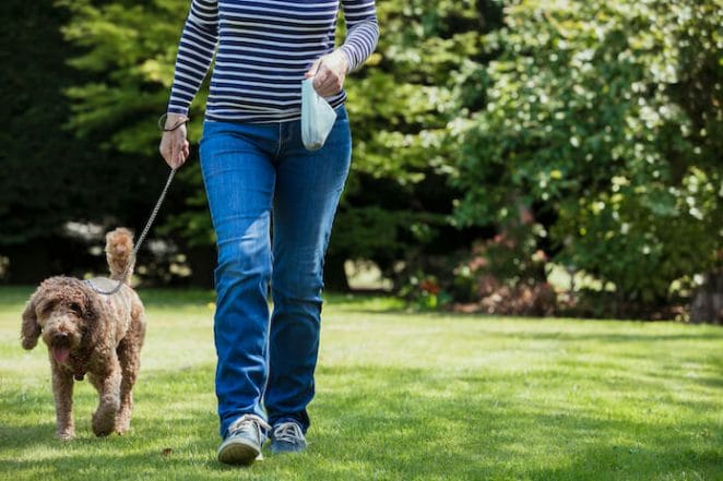 Law to Catch Dog Owners Not Picking Up Waste