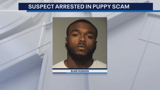 puppy scam in milwaukee suspect