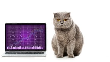 Tips for finding out if you're involved in a munchkin scam