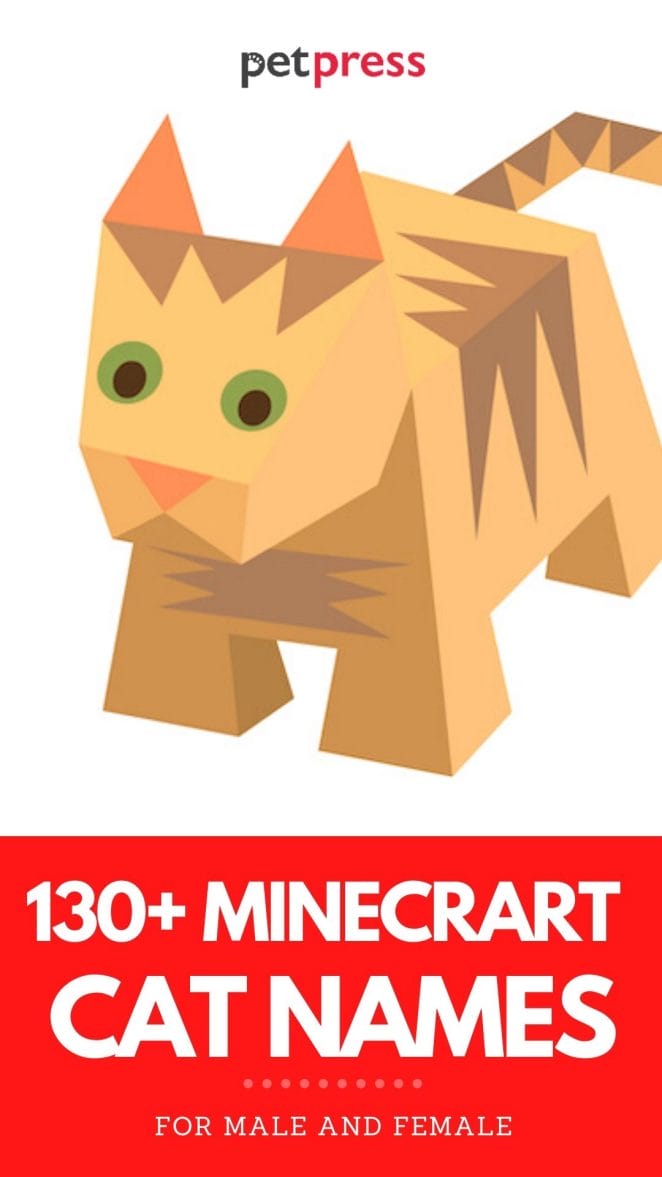 minecraft cat names