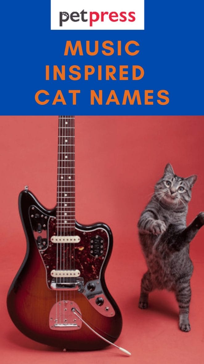 music-cat-names