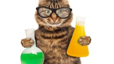 science-cat-names