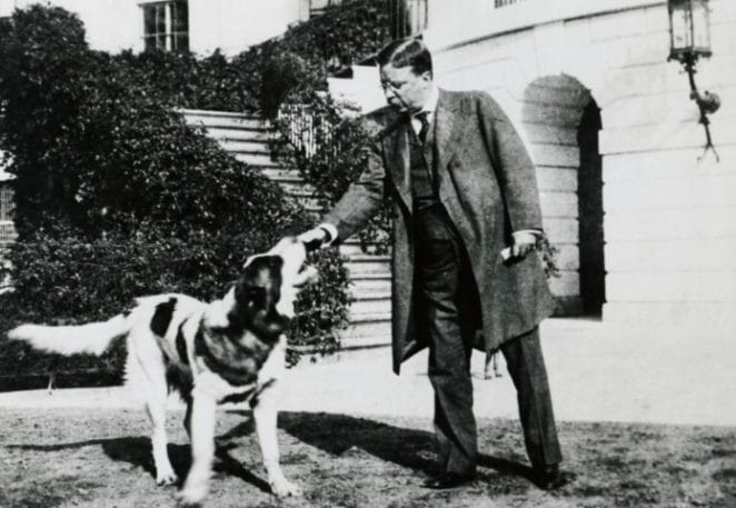 Rollo and Teddy Roosevelt