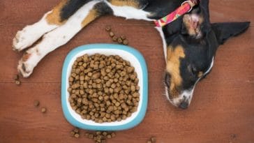 FDA Warns Midwestern Pet Foods Linked with Dog Deaths and Illnesses