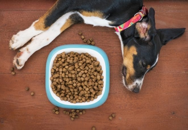 FDA Warns Midwestern Pet Foods Linked with Dog Deaths and Illnesses