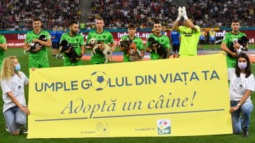 How Romanian Soccer Players Helped Local Shelters with Pet Adoption