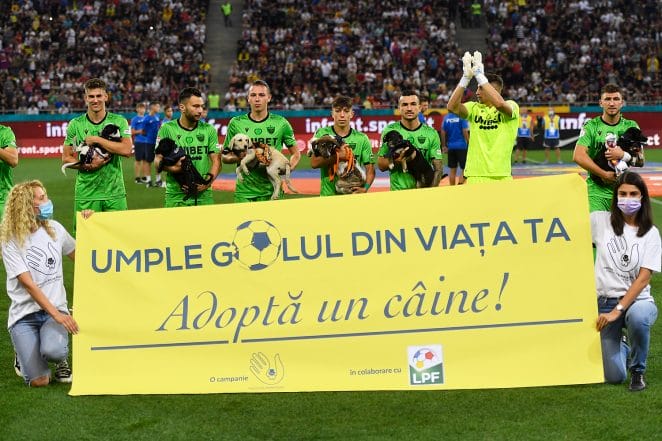 How Romanian Soccer Players Helped Local Shelters with Pet Adoption