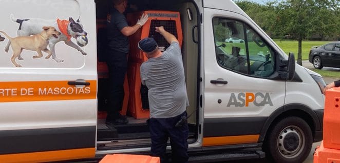 ASPCA assists evacuating affect dogs of Hurricane Ida