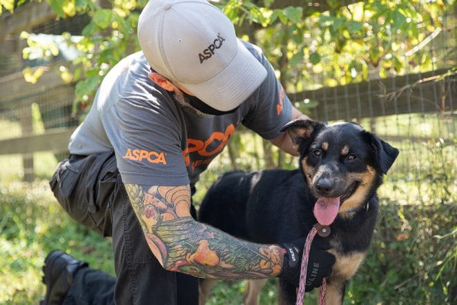 ASPCA rescued dog