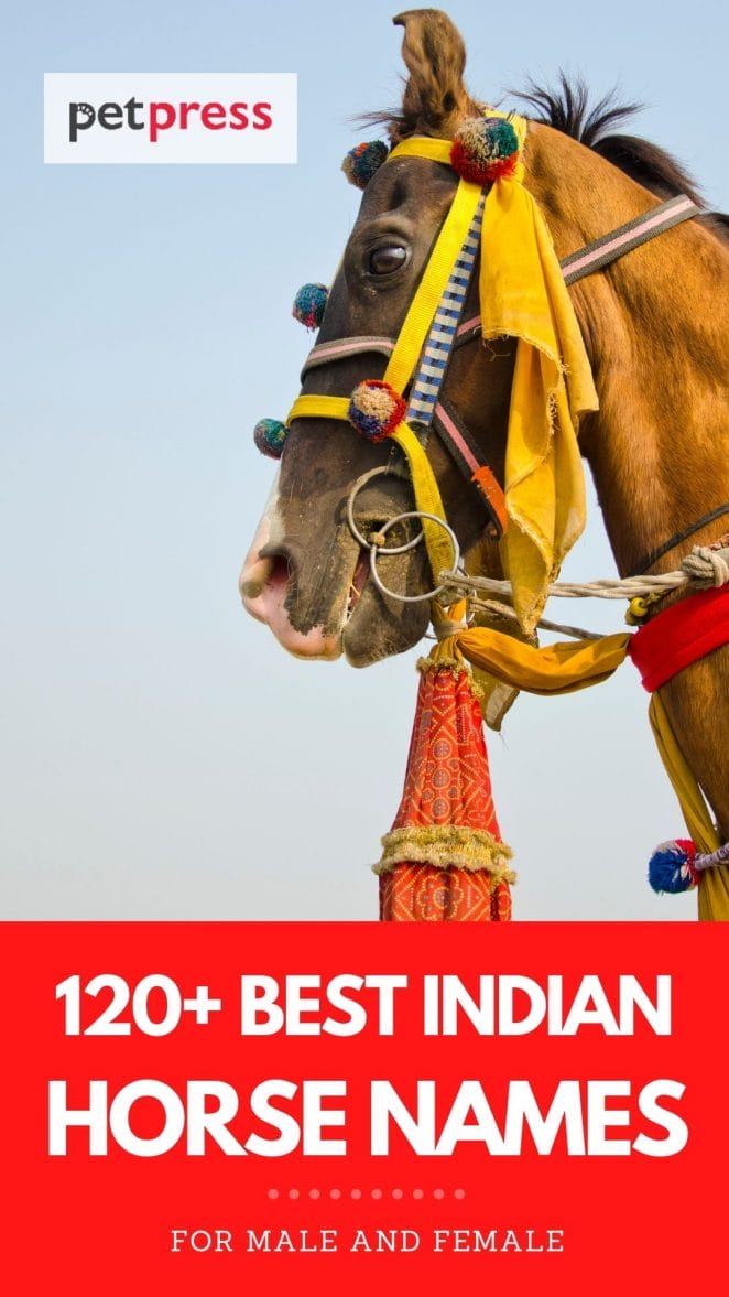 indian horse names