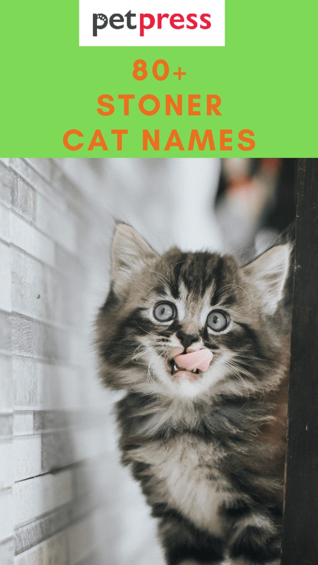 stoner-cat-names