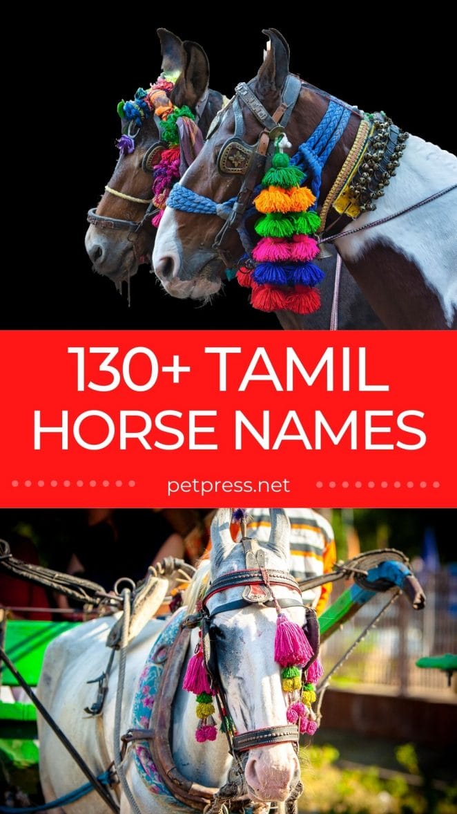 tamil horse names