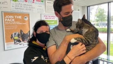 the-owners-of-forbes