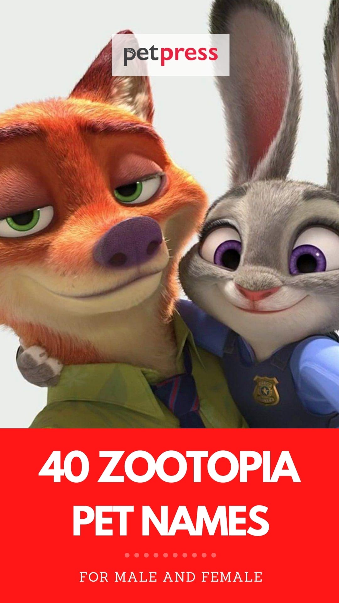 zootopia names for pets