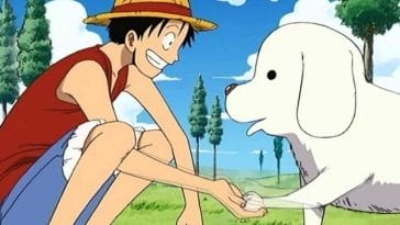 50+ One Piece Dog Names - Best Name Ideas Based on One Piece Characters