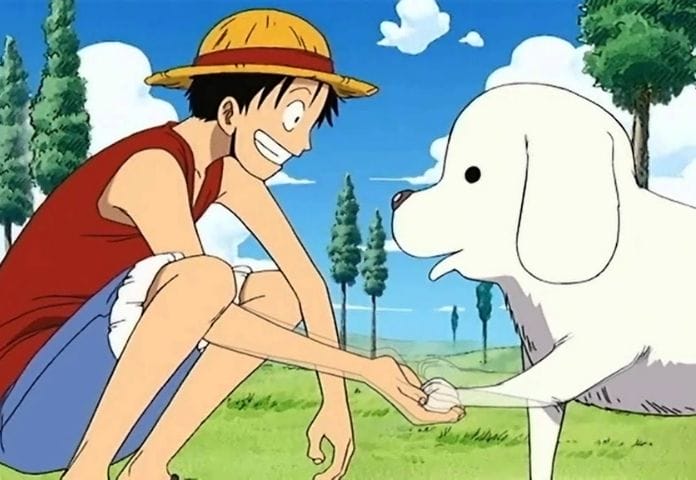 50+ One Piece Dog Names - Best Names Based on One Piece Characters