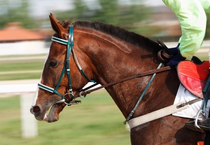 British Female Racehorse Names