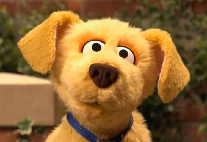 Female Dog Names Inspired By Sesame Street Characters