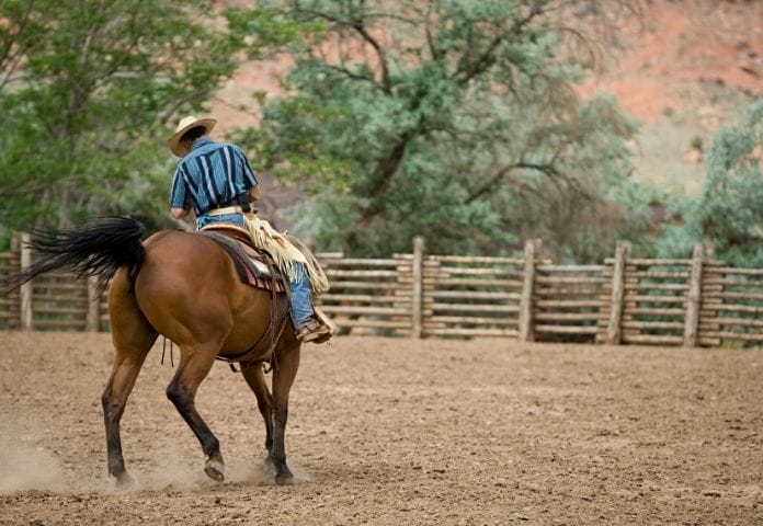 best-ranch-horse-names-list-of-250-good-horse-ranch-names