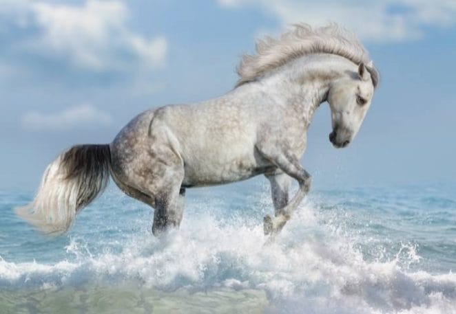 Native American Horse Names Inspired By Nature