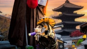 Ninja Dog Names - 90+ Dog Names Inspired by Ninjas