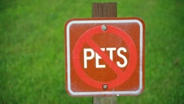 'No Pets Policy' - Vancouver Councilors Push for Change